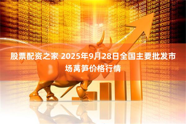 股票配资之家 2025年9月28日全国主要批发市场莴笋价格行情